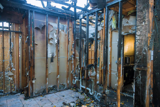 Professional Fire Damage Removal technician working in Duncansville, PA